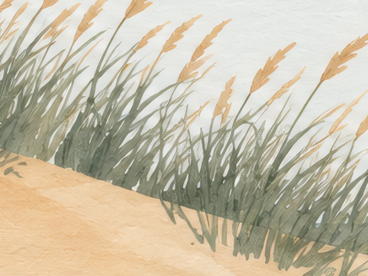 Dunas - Image 2